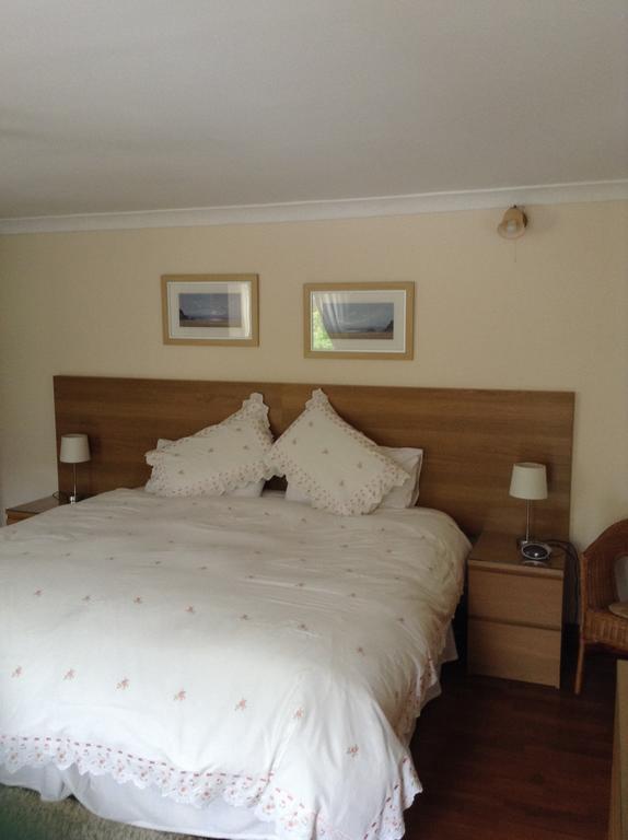 מרת'יר טידפיל The Mount Pleasant Inn חדר תמונה